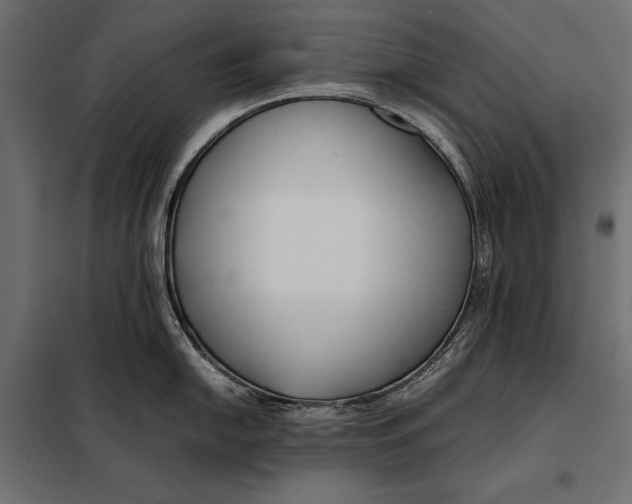 X0000098081054200804251509