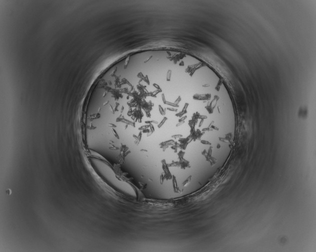 X0000098081055200804251509