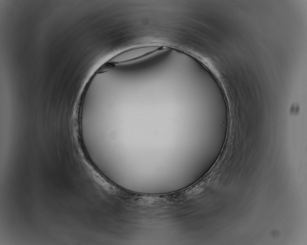 X0000098081056200804251509