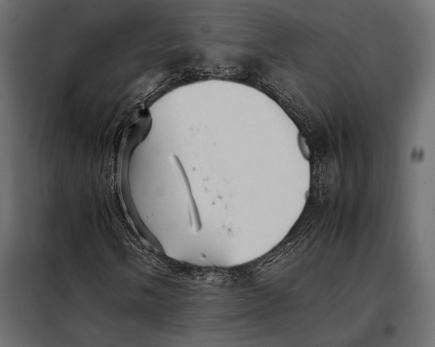 X0000098081058200804251508