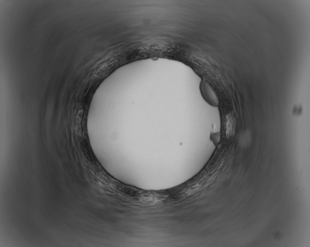 X0000098081059200804251508