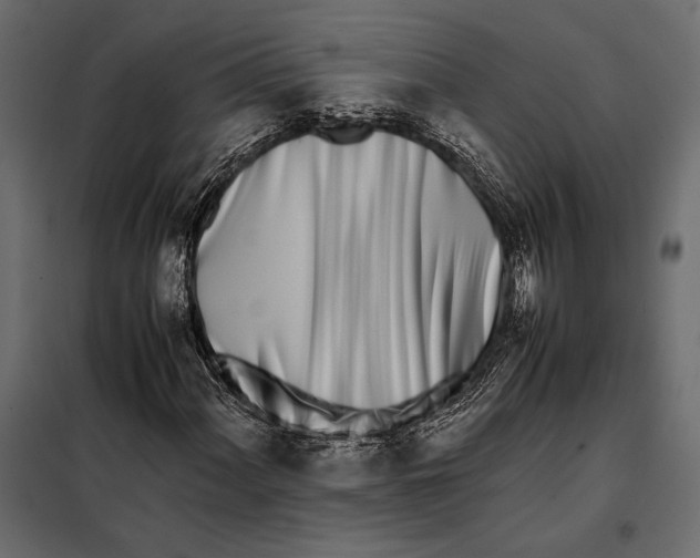 X0000098081060200804251508