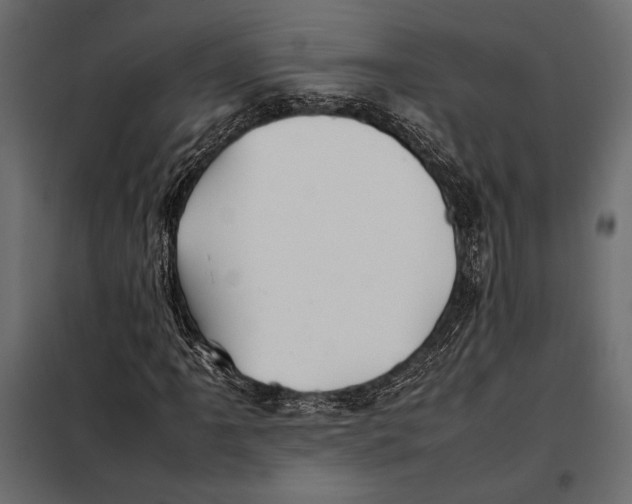 X0000098081061200804251508