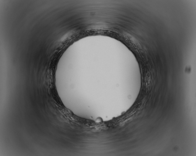 X0000098081062200804251508