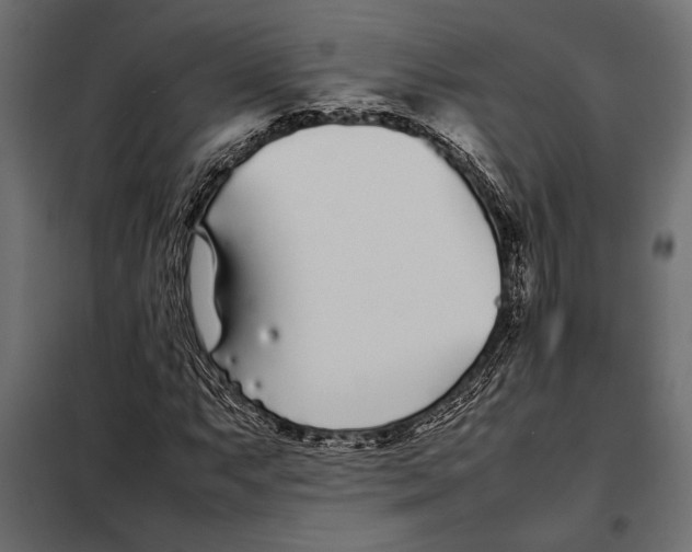 X0000098081063200804251508