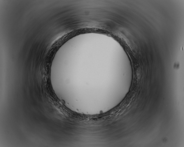 X0000098081064200804251508