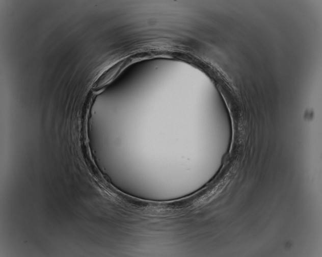 X0000098081065200804251508