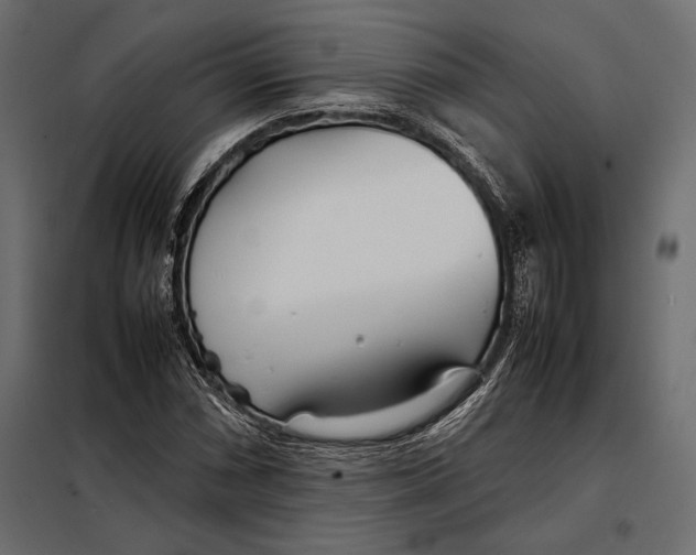 X0000098081066200804251508