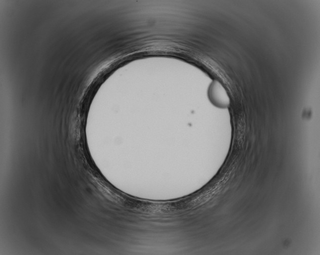 X0000098081067200804251508