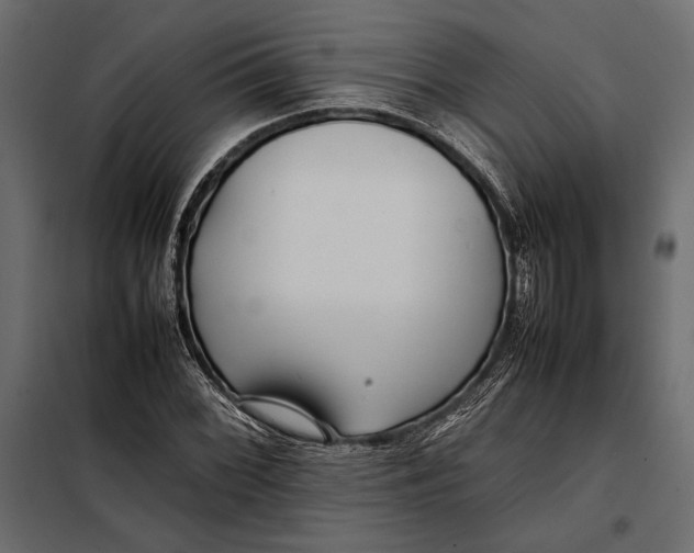 X0000098081068200804251508