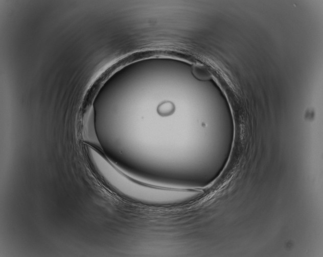 X0000098081069200804251508