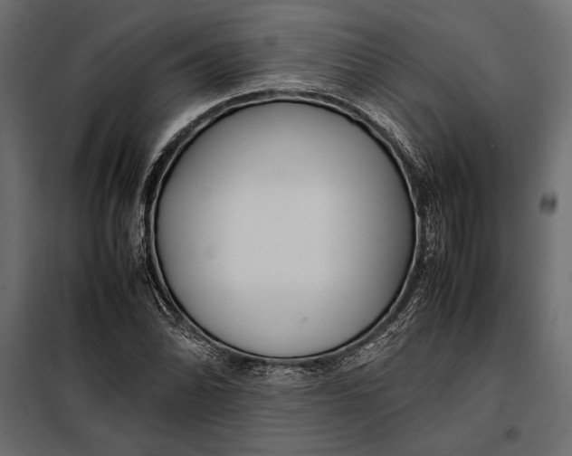 X0000098081070200804251508