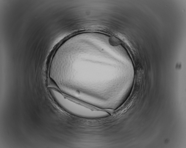 X0000098081071200804251508