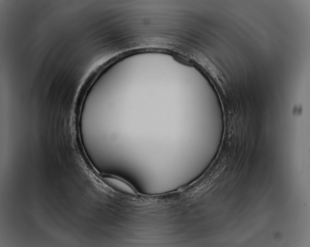 X0000098081072200804251508