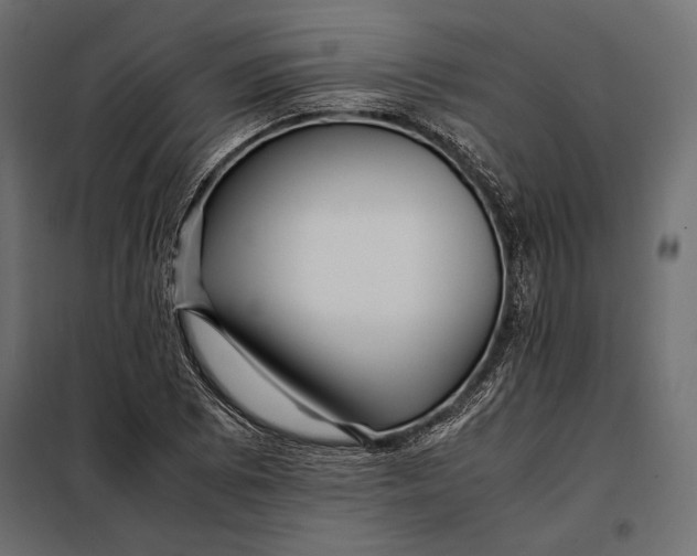 X0000098081073200804251508