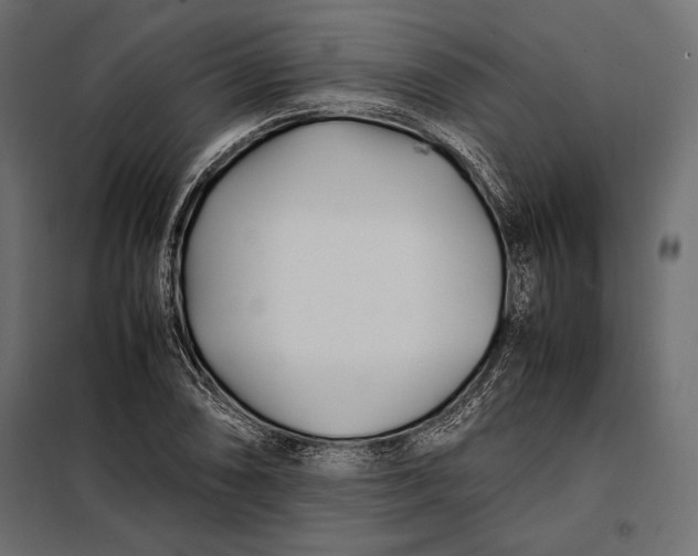 X0000098081074200804251508