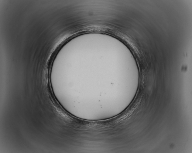 X0000098081075200804251508