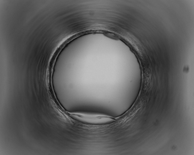 X0000098081076200804251508