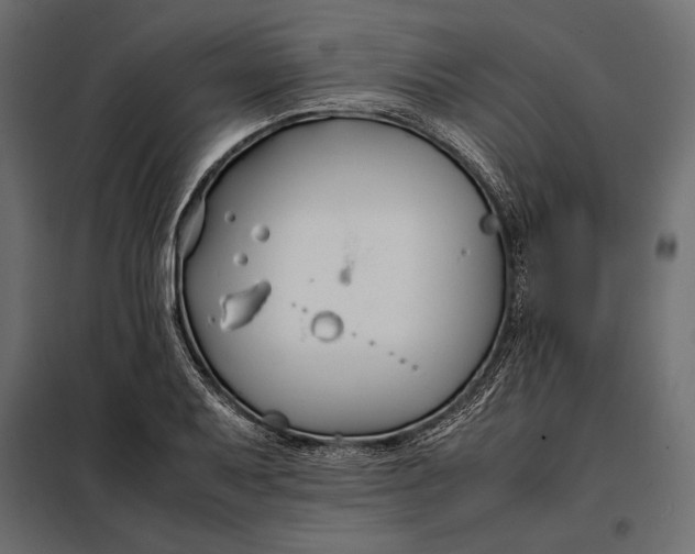 X0000098081079200804251508