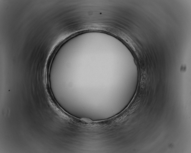 X0000098081080200804251508