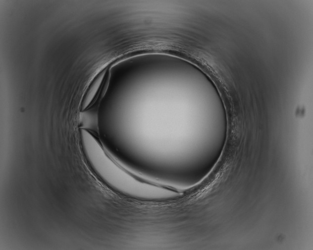 X0000098081081200804251508