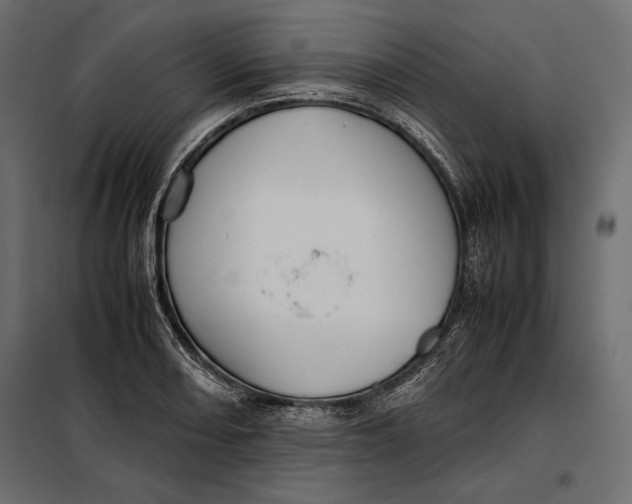 X0000098081082200804251508