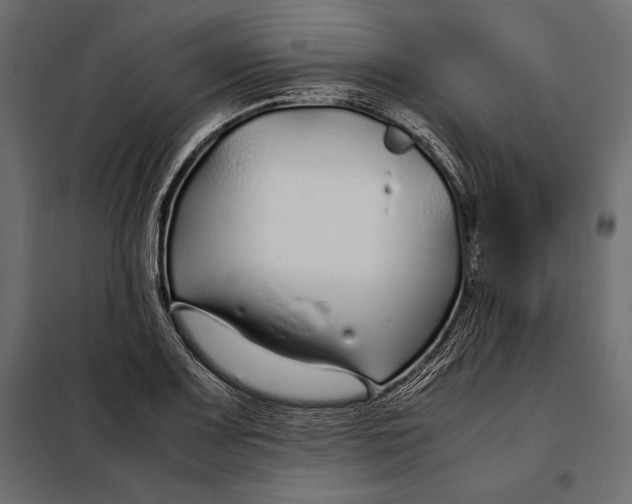 X0000098081083200804251508