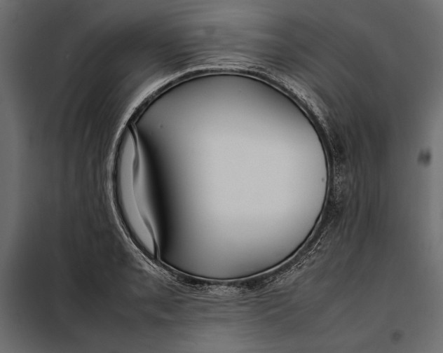 X0000098081085200804251508