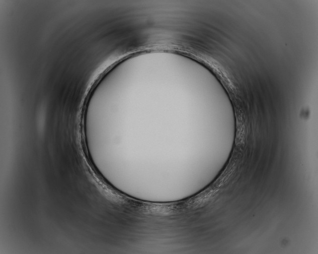 X0000098081086200804251508