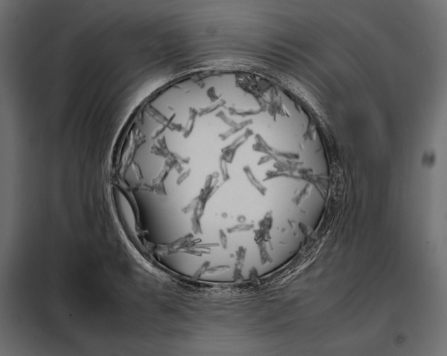 X0000098081087200804251508