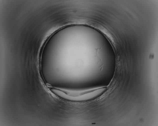 X0000098081088200804251508