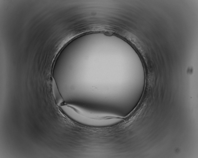 X0000098081089200804251508