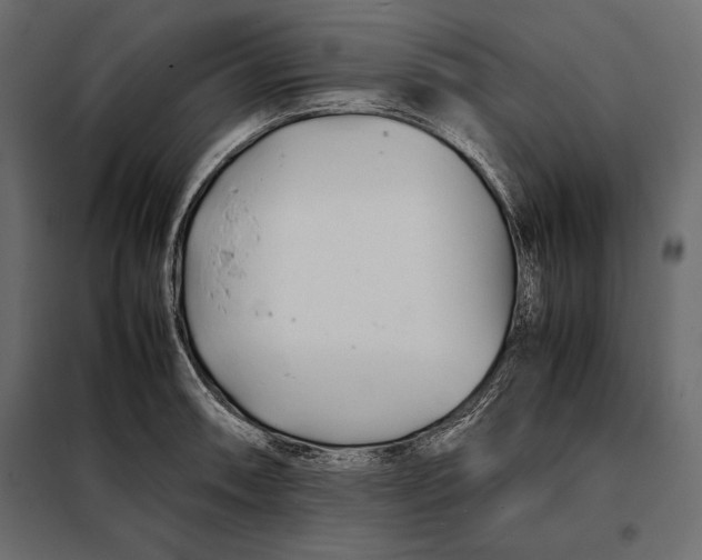 X0000098081090200804251508