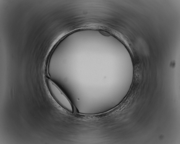 X0000098081091200804251508