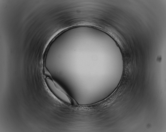 X0000098081092200804251508