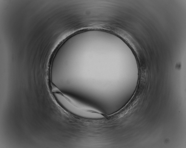 X0000098081093200804251508