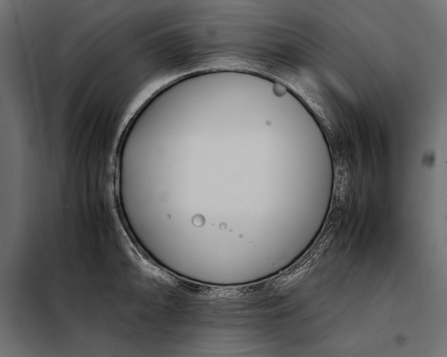 X0000098081094200804251508