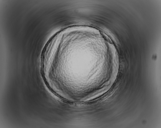 X0000098081095200804251508