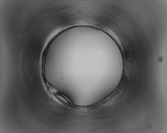 X0000098081096200804251508