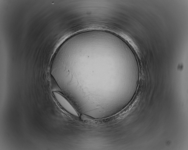 X0000098081097200804251507