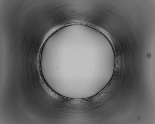 X0000098081098200804251507