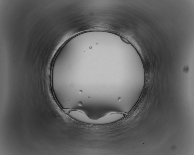 X0000098081099200804251507