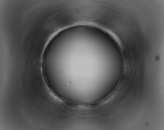 X0000098081102200804251507