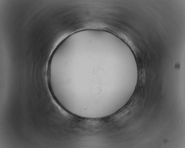 X0000098081103200804251507