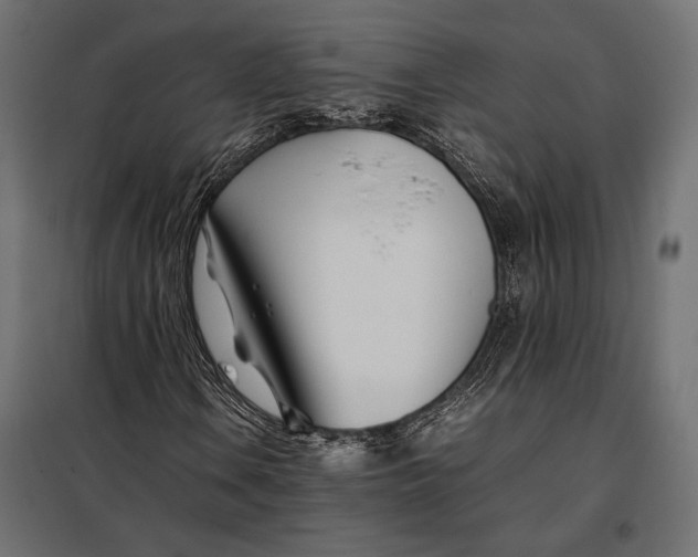 X0000098081106200804251507