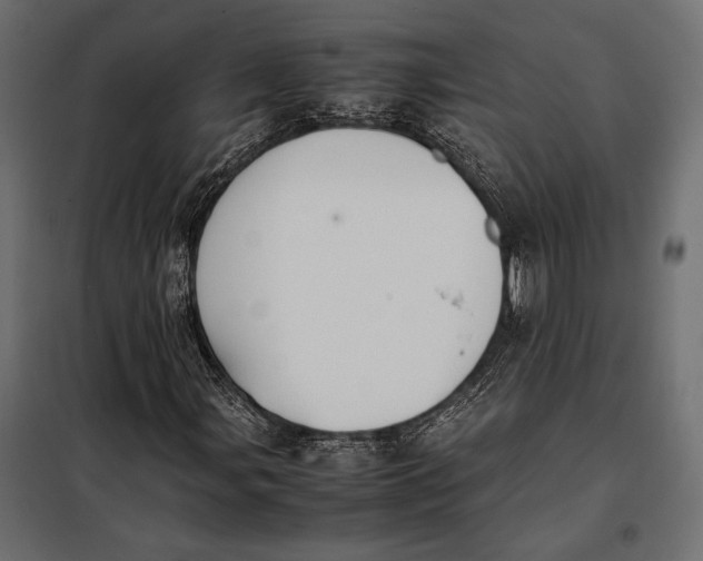 X0000098081107200804251507