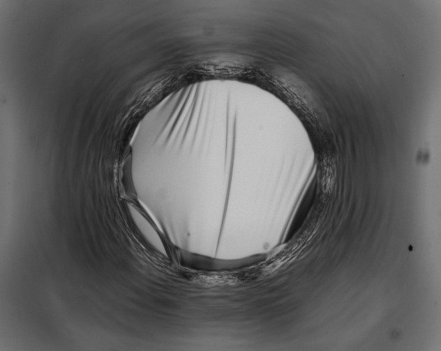 X0000098081108200804251507