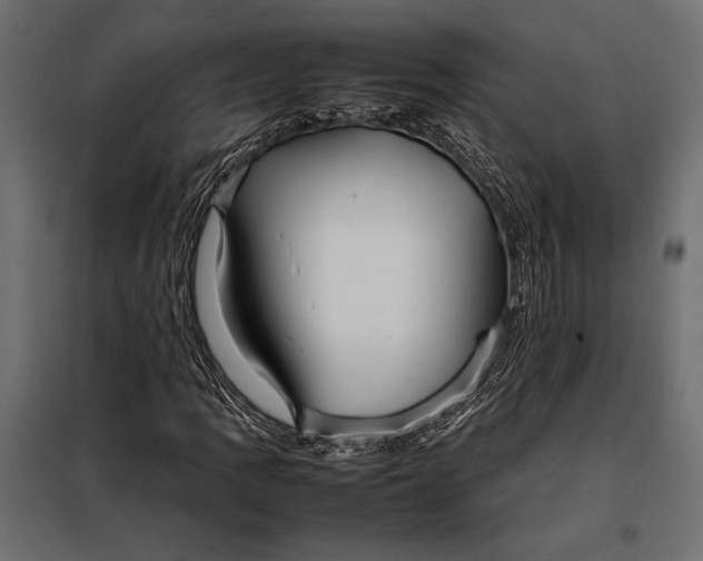 X0000098081109200804251507