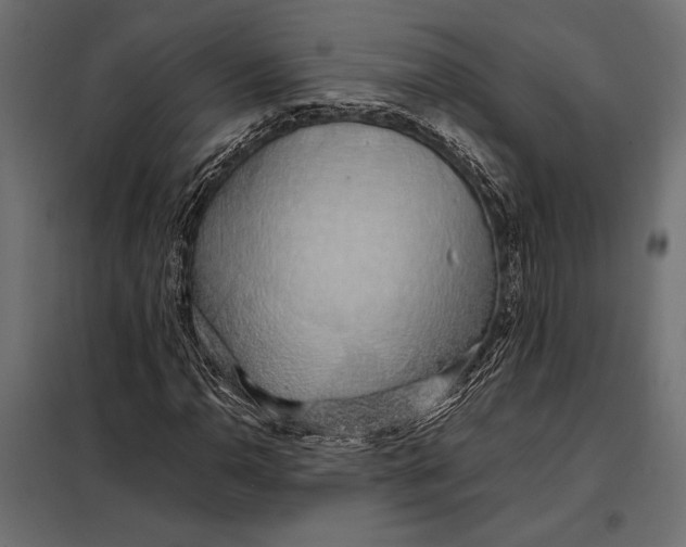 X0000098081110200804251507