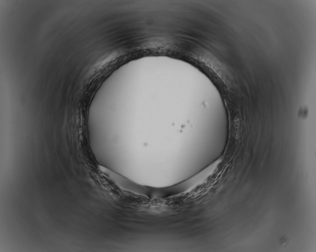 X0000098081111200804251507